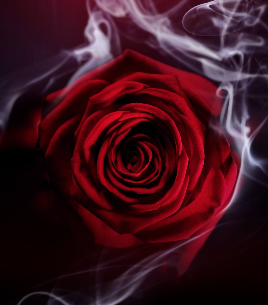 Le Gemme Garanat Eau de Parfum (125ml) NO COLOUR Image 2