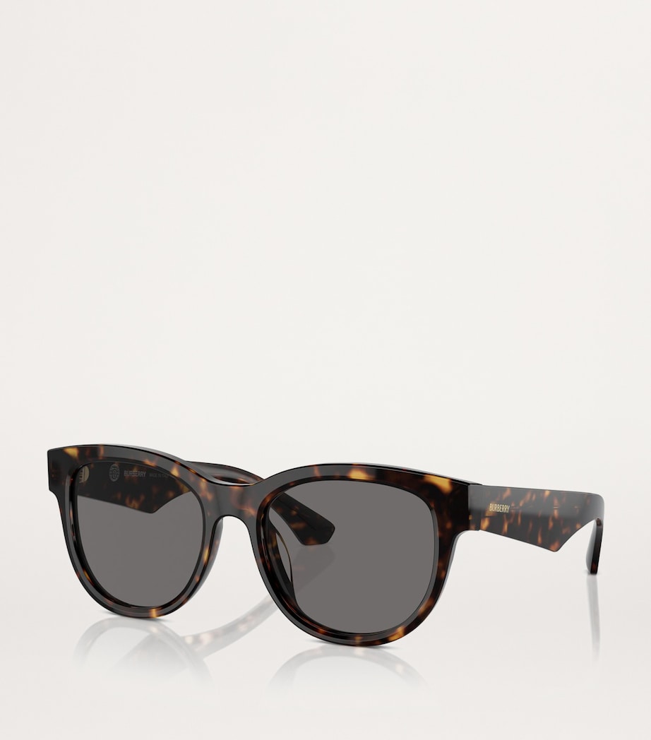 Steel BE4432U Sunglasses 300281 Image 2