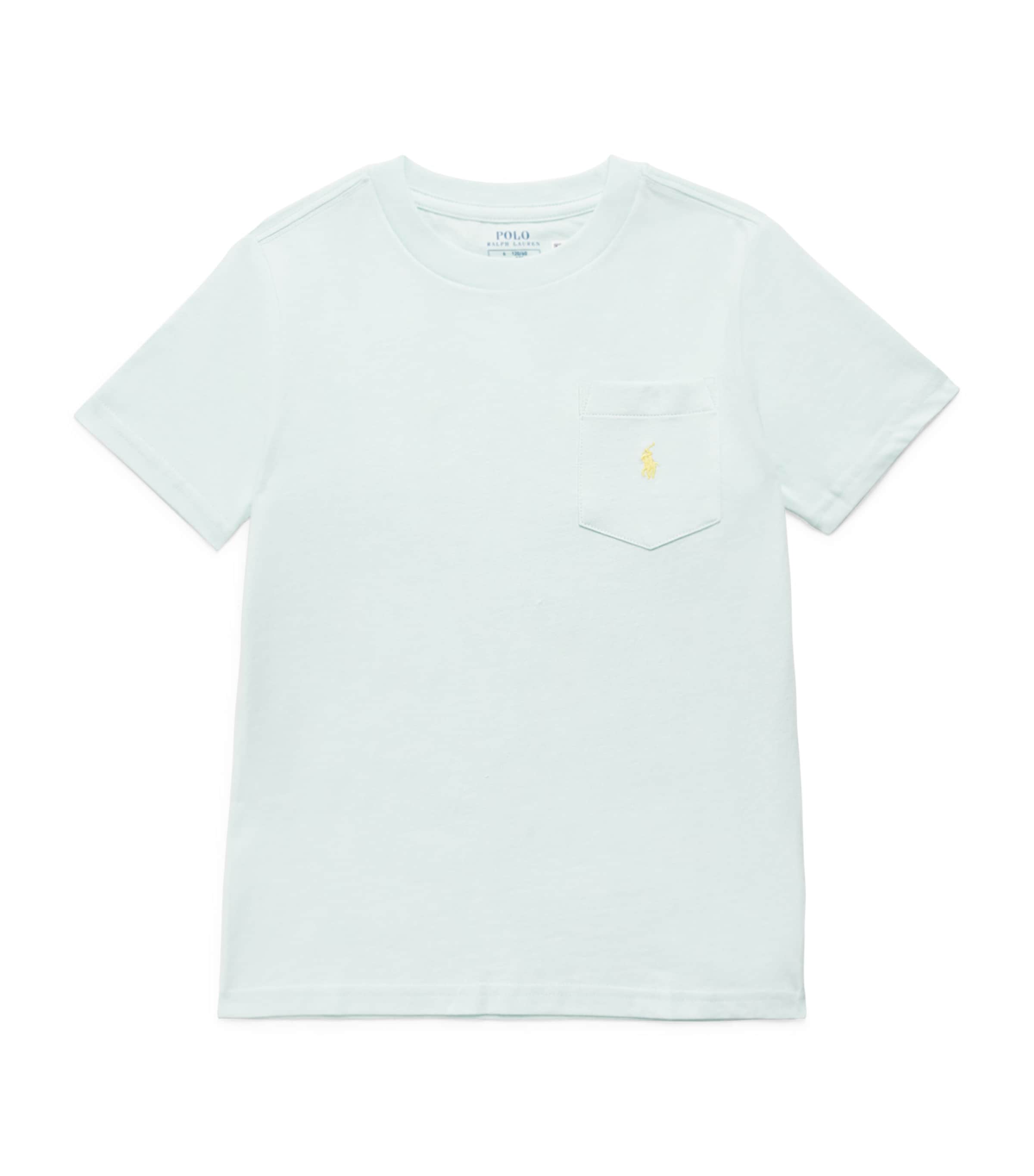 Ralph Lauren Kids Cotton Polo Pony T-Shirt (7-14 Years) Blue Image 1