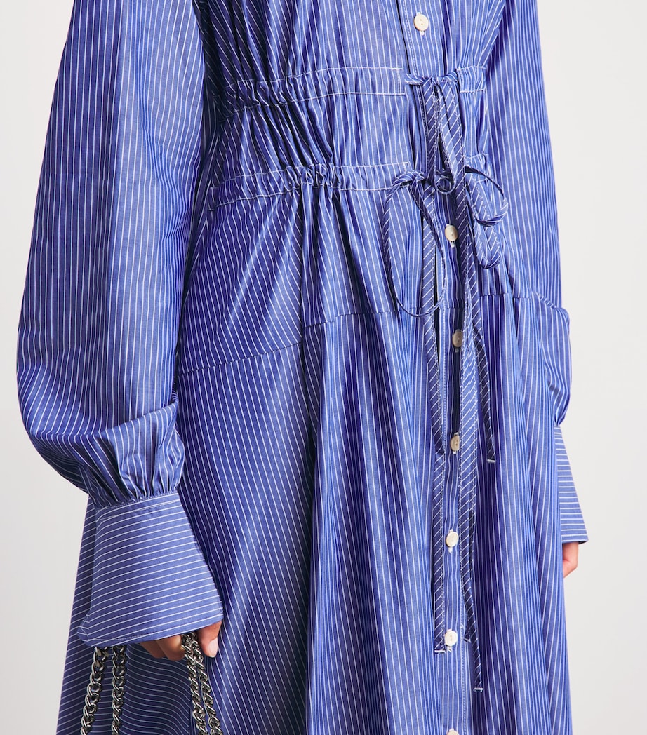 Palmer//Harding Womens Cotton Poplin Striped Clarity Maxi Dress Blu Blu Cttn Pn Strp Image 3