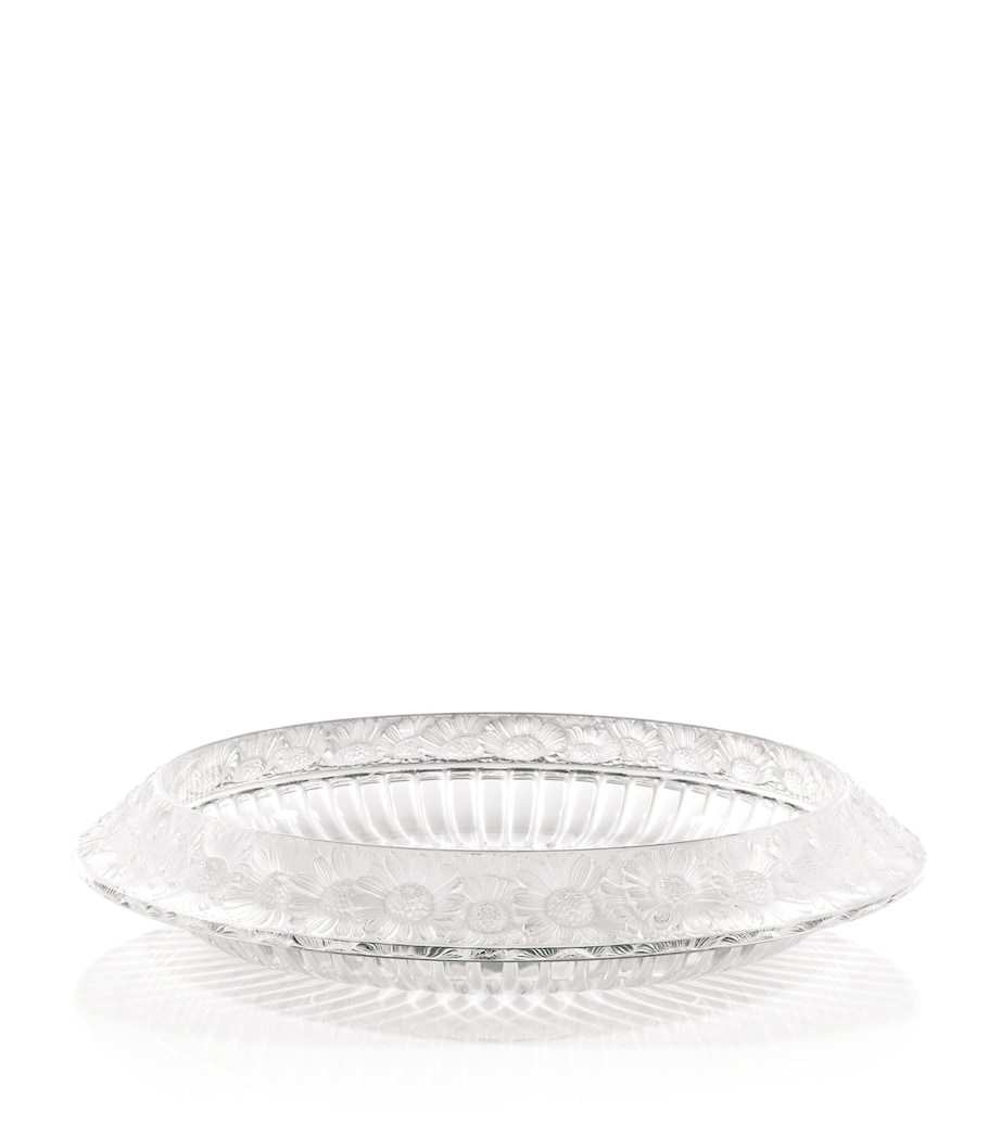 Crystal Marguerites Bowl INCOLORE Image 1