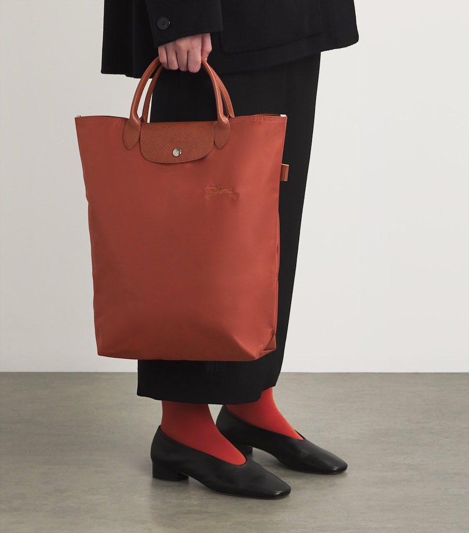 Medium Le Pliage Green Tote Bag 404 CHESTNUT Image 2