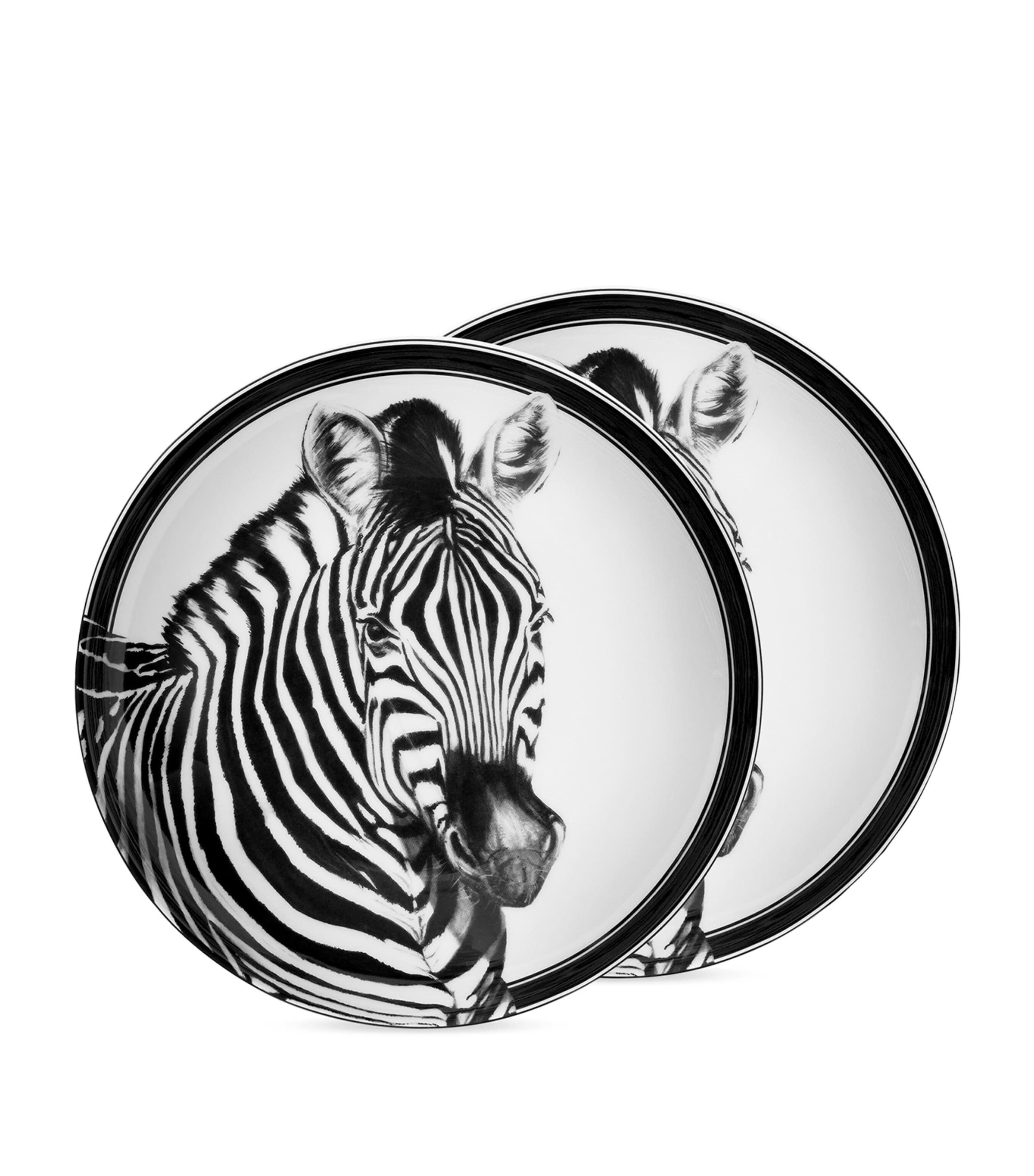 Dolce & Gabbana Casa Set Of 2 Zebra Soup Plates In Black