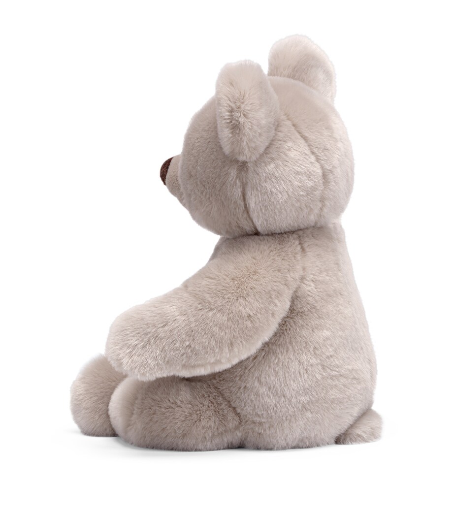 Extra Large Bear Brando (50cm) MULTI Image 2
