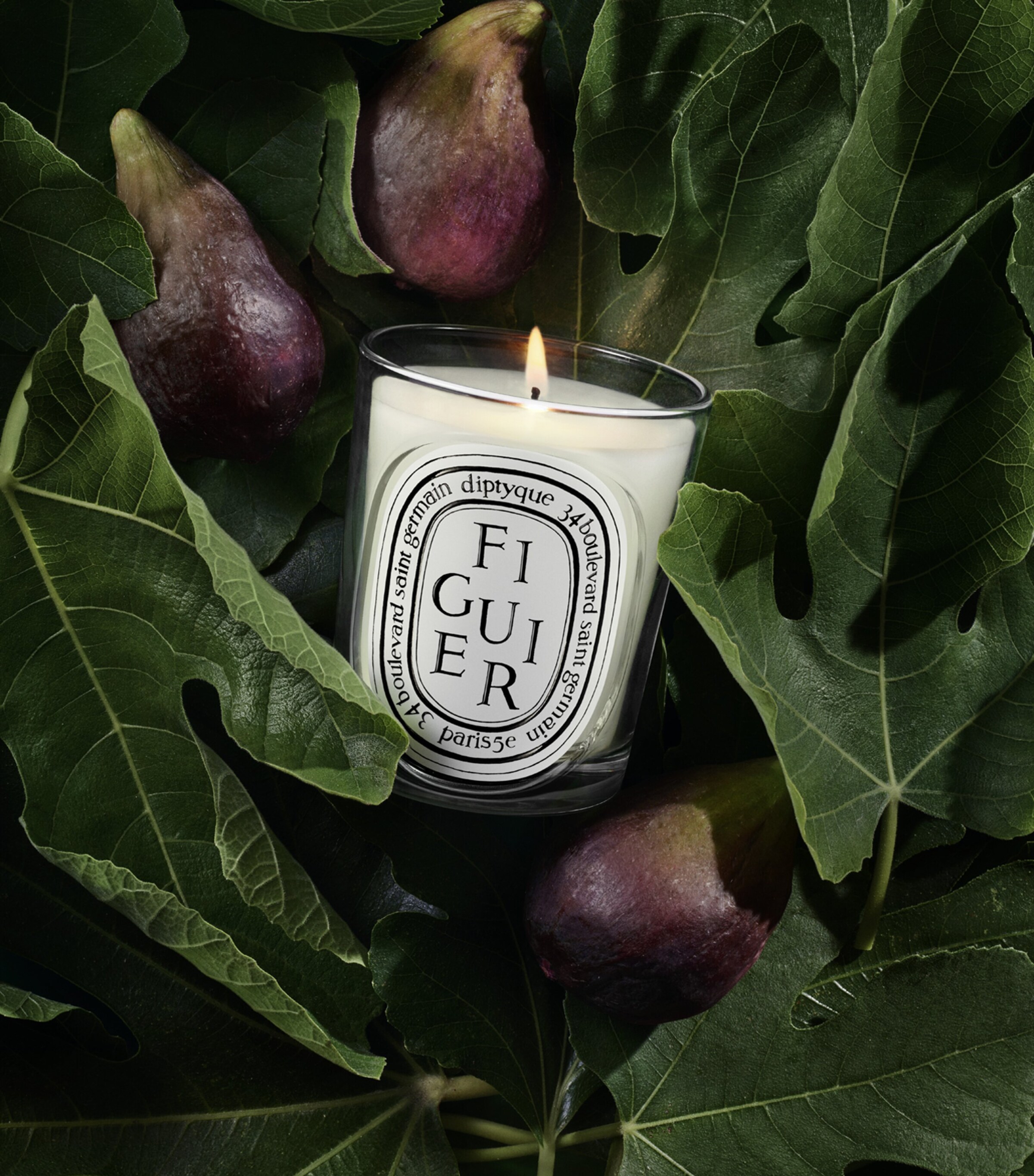 Diptyque Figuier Candle (190g) | Harrods US
