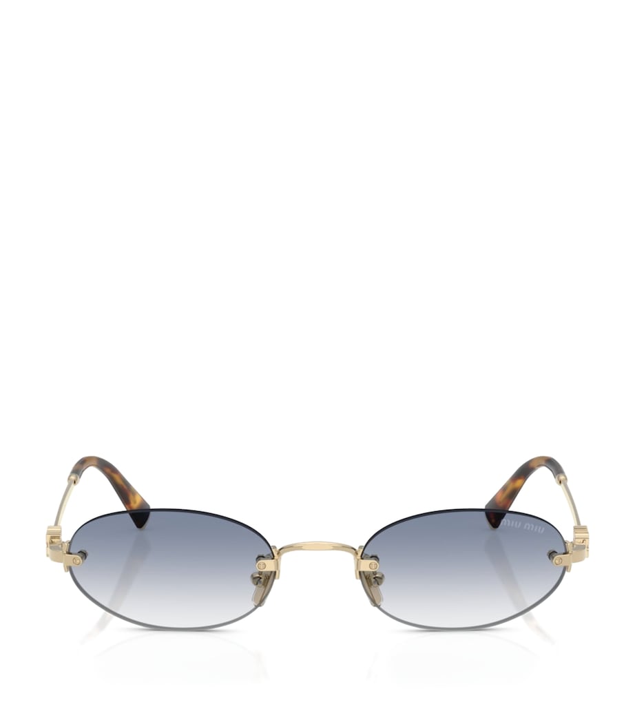 Metal Oval Sunglasses ZVN80O Image 1