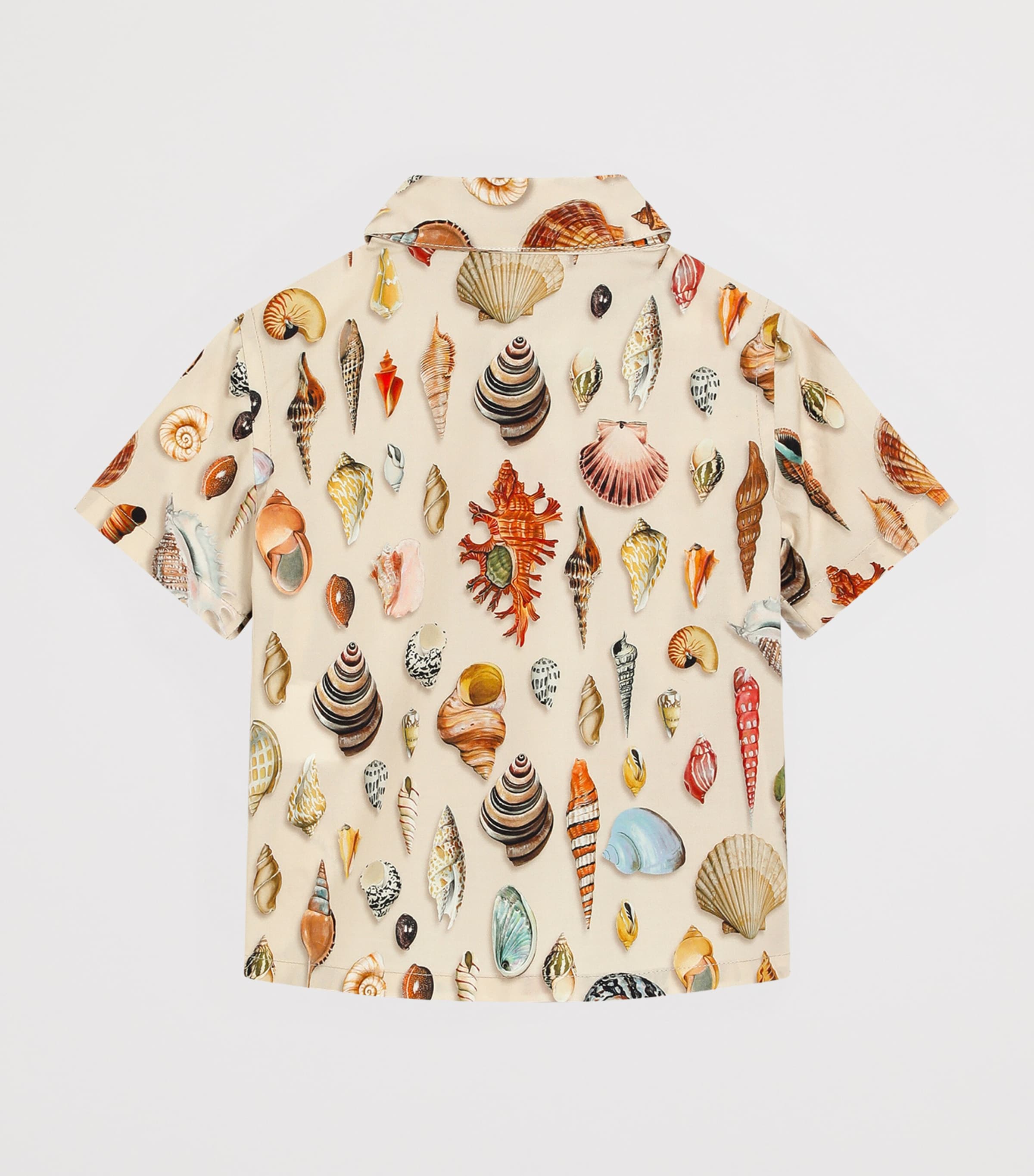 Cotton Printed Shirt (3-36 Months) HK5PI-CONCHIGLIE Image 2