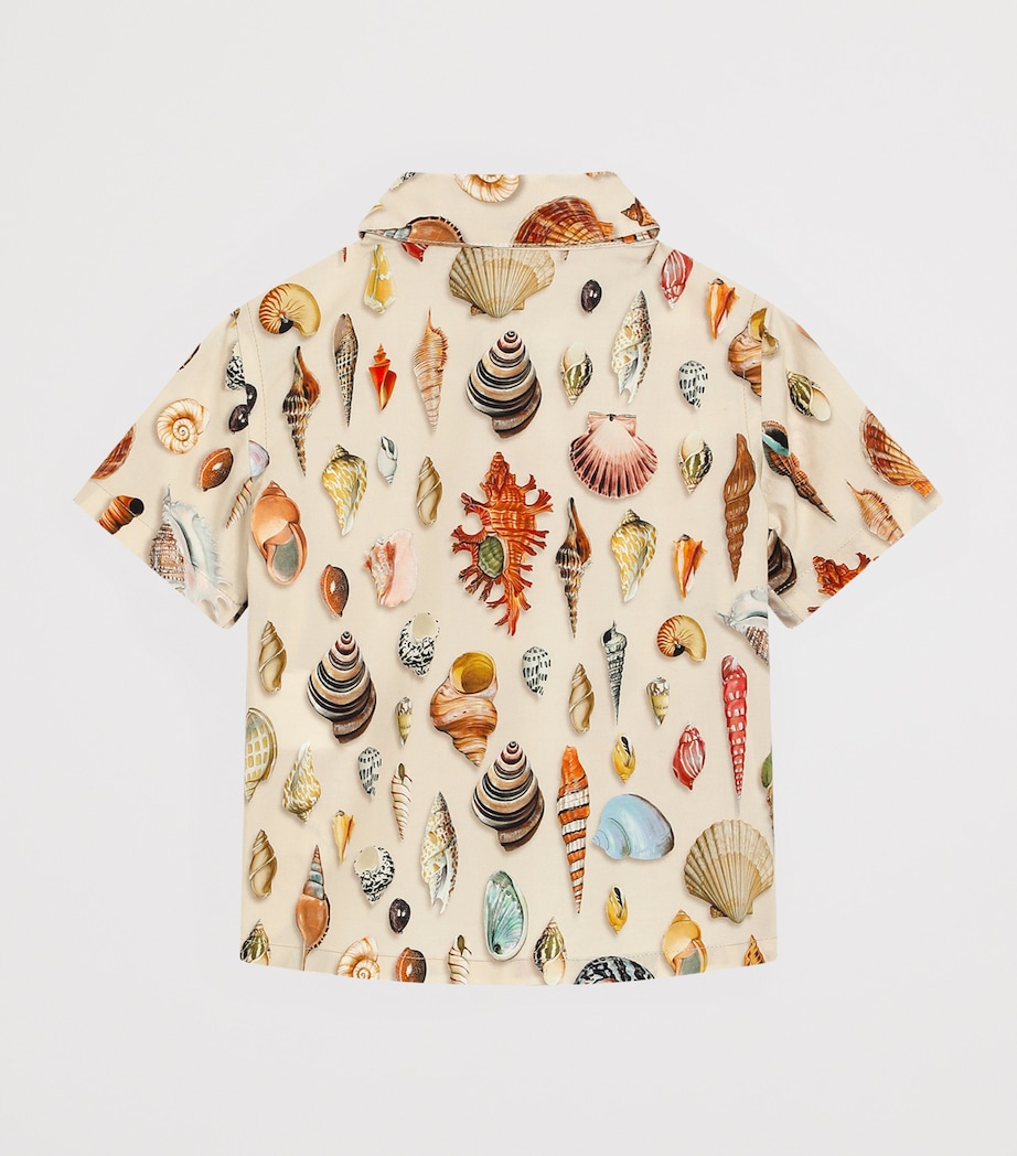 Cotton Printed Shirt (3-36 Months) HK5PI-CONCHIGLIE Image 2