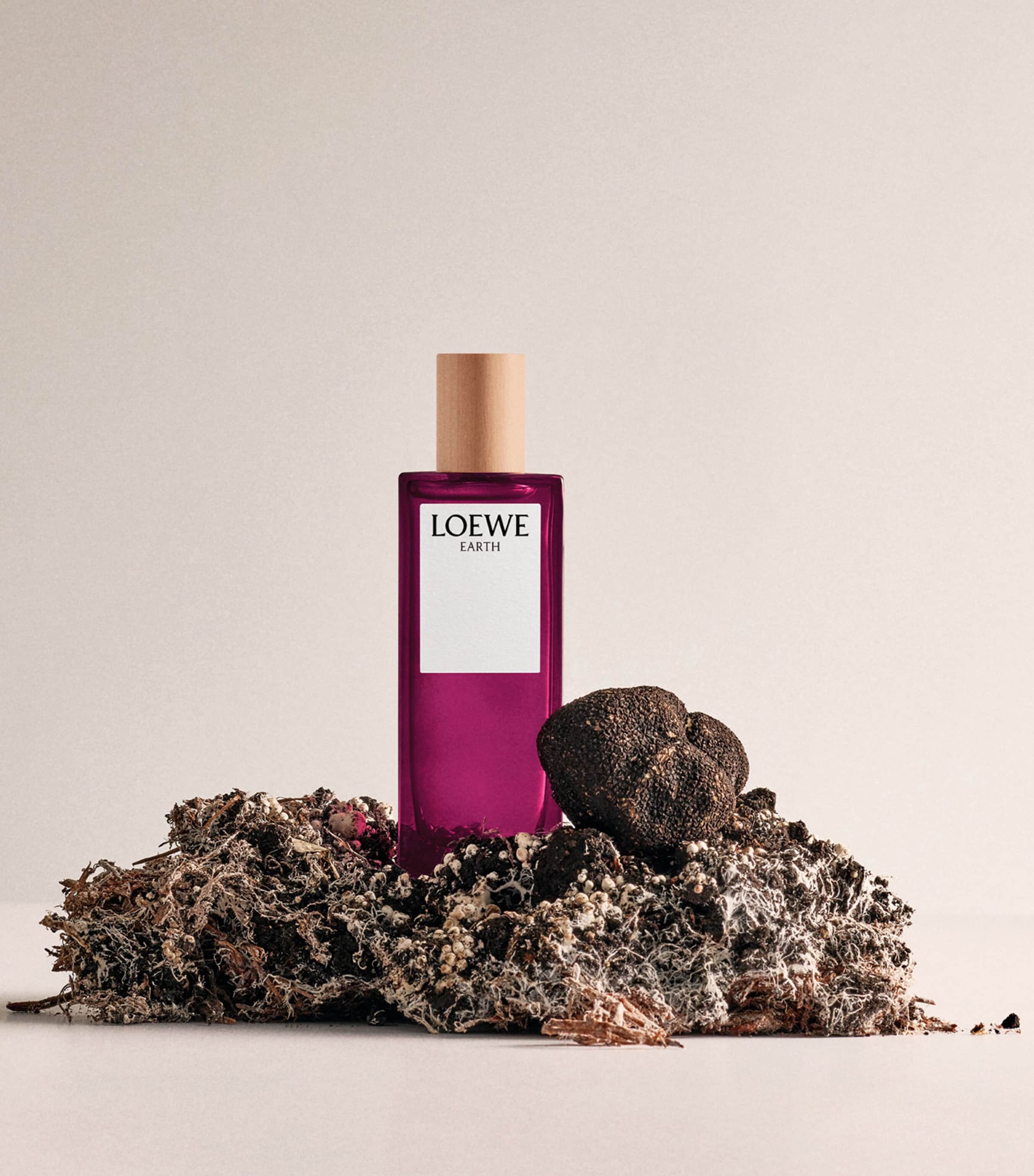 LOEWE Earth Eau de Parfum (100ml) | Harrods SE