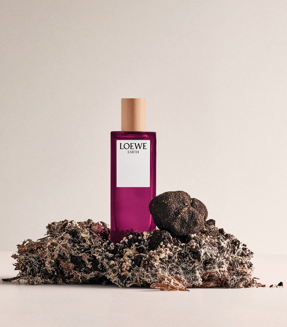 Earth Eau de Parfum (100ml) NO COLOUR Image 5