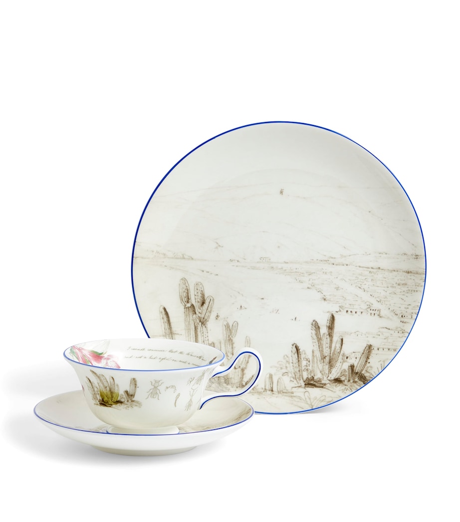 Voyage of the Beagle Chile Plate, Teacup and Saucer Set MULTI Image 7