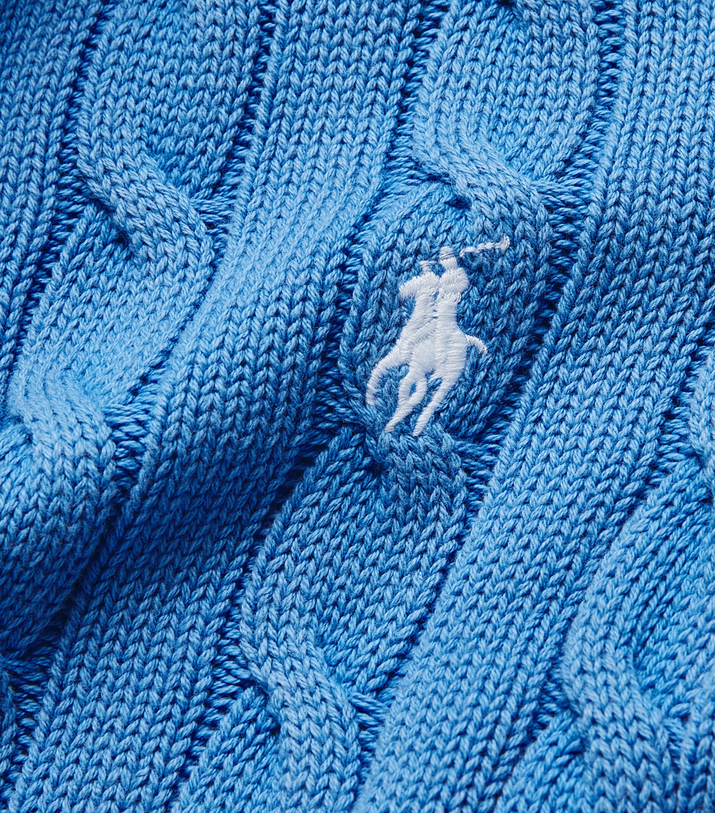 Polo Ralph Lauren Blue Knit