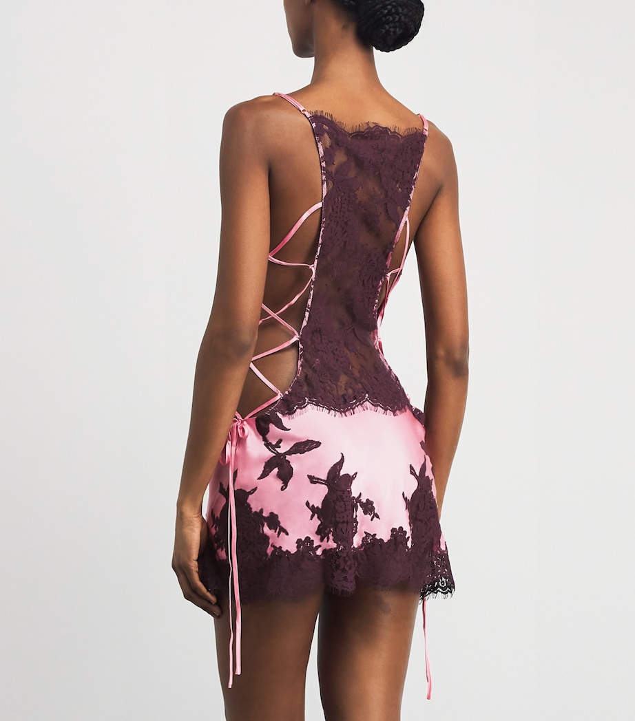 Marjolaine Womens Silk-Lace Mini Slip Dress Blush/brun Image 5