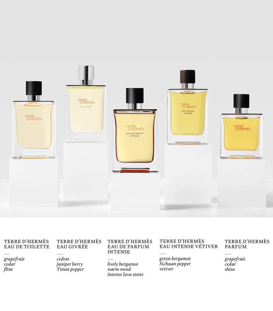 Terre d'Hermès Eau de Toilette (100ml) NO COLOUR Image 7