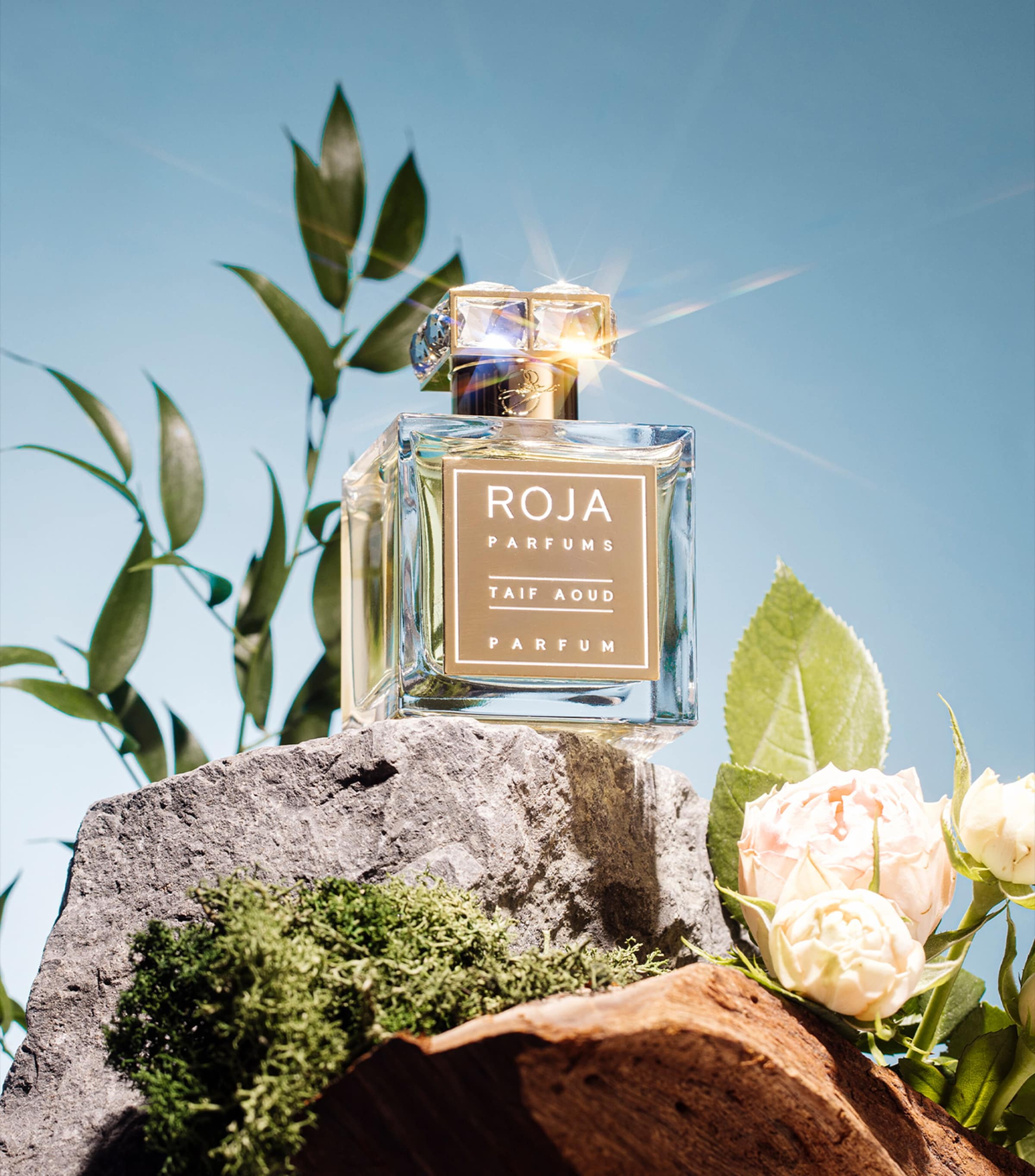 Taif Aoud Parfum (100ml) NO COLOUR Image 5