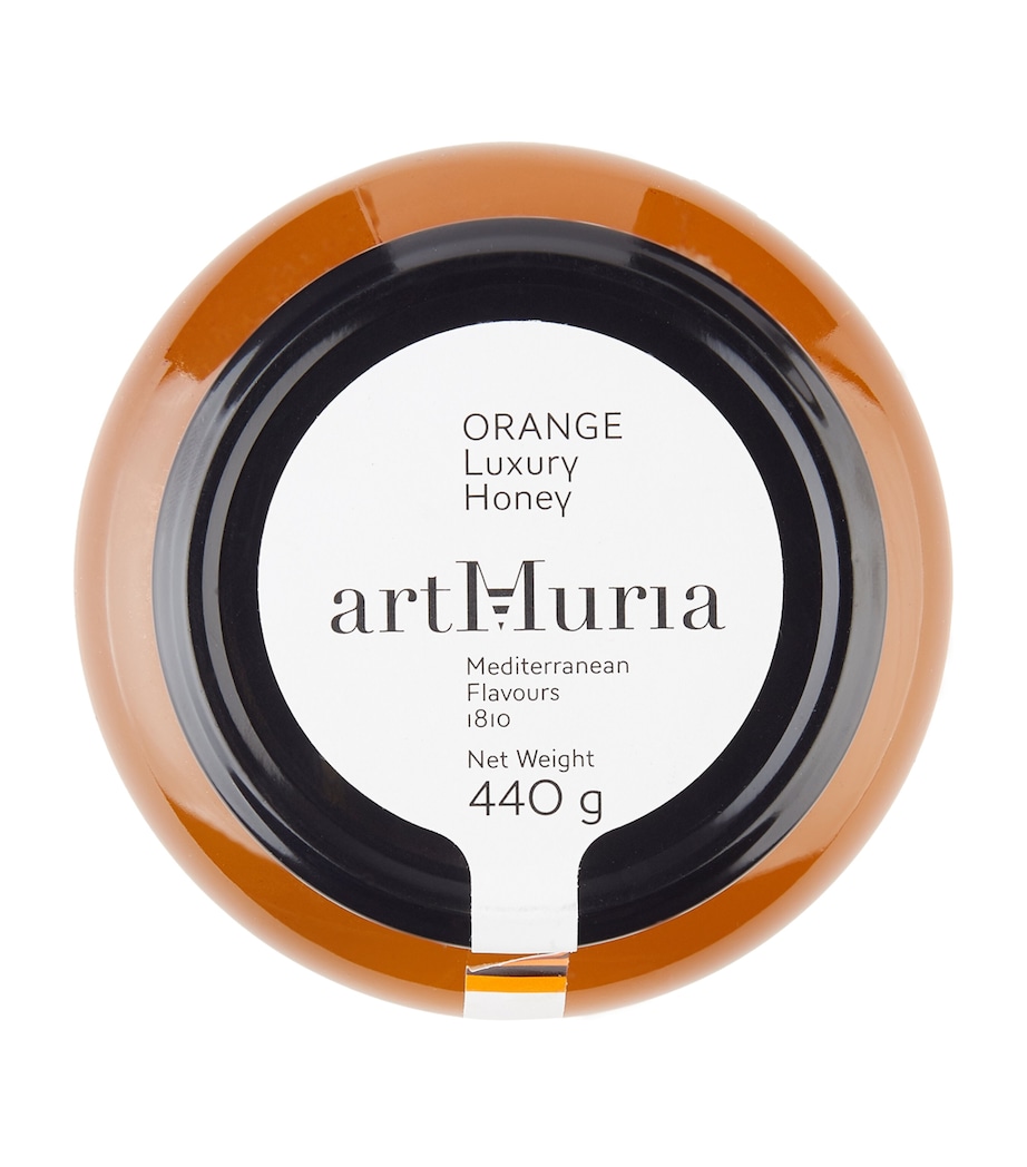 Orange Honey (440g) NO COLOUR Image 2