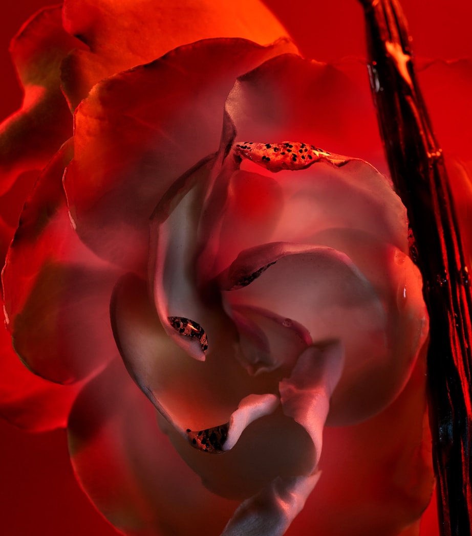 Allegra Baciami Eau de Parfum NO COLOUR Image 3