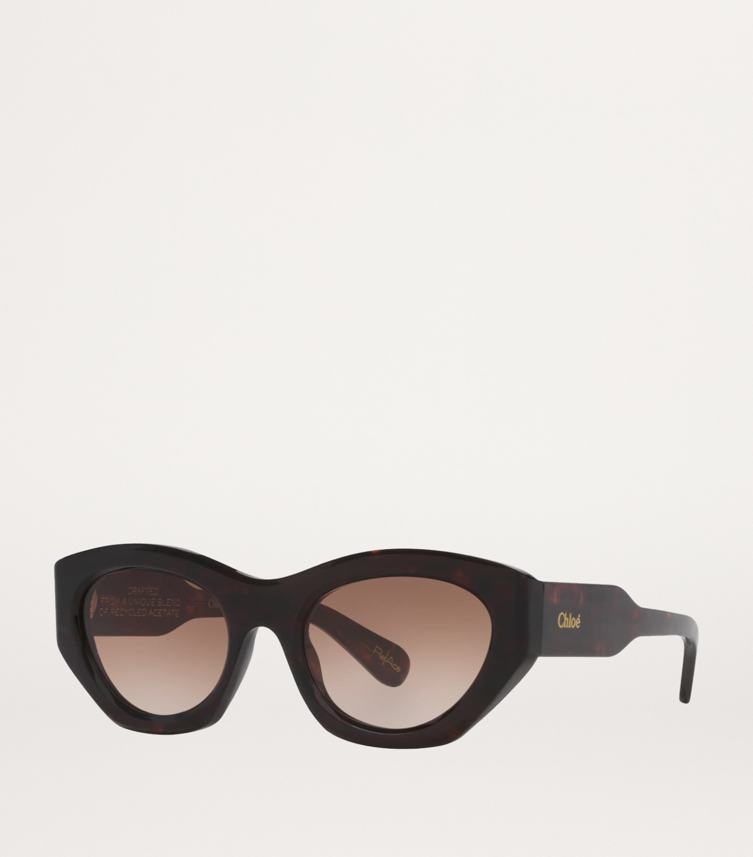 Acetate CH0220S Sunglasses 4510D1 Image 2