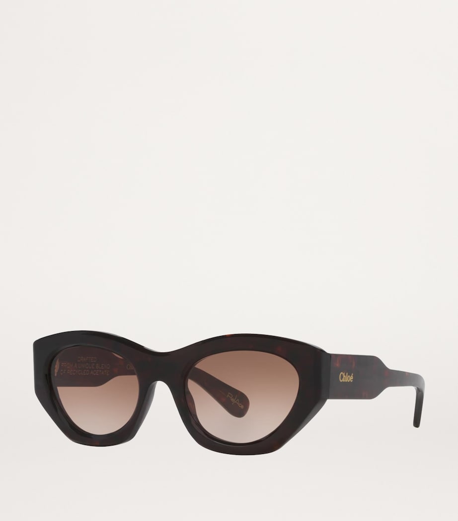 Acetate CH0220S Sunglasses 4510D1 Image 2