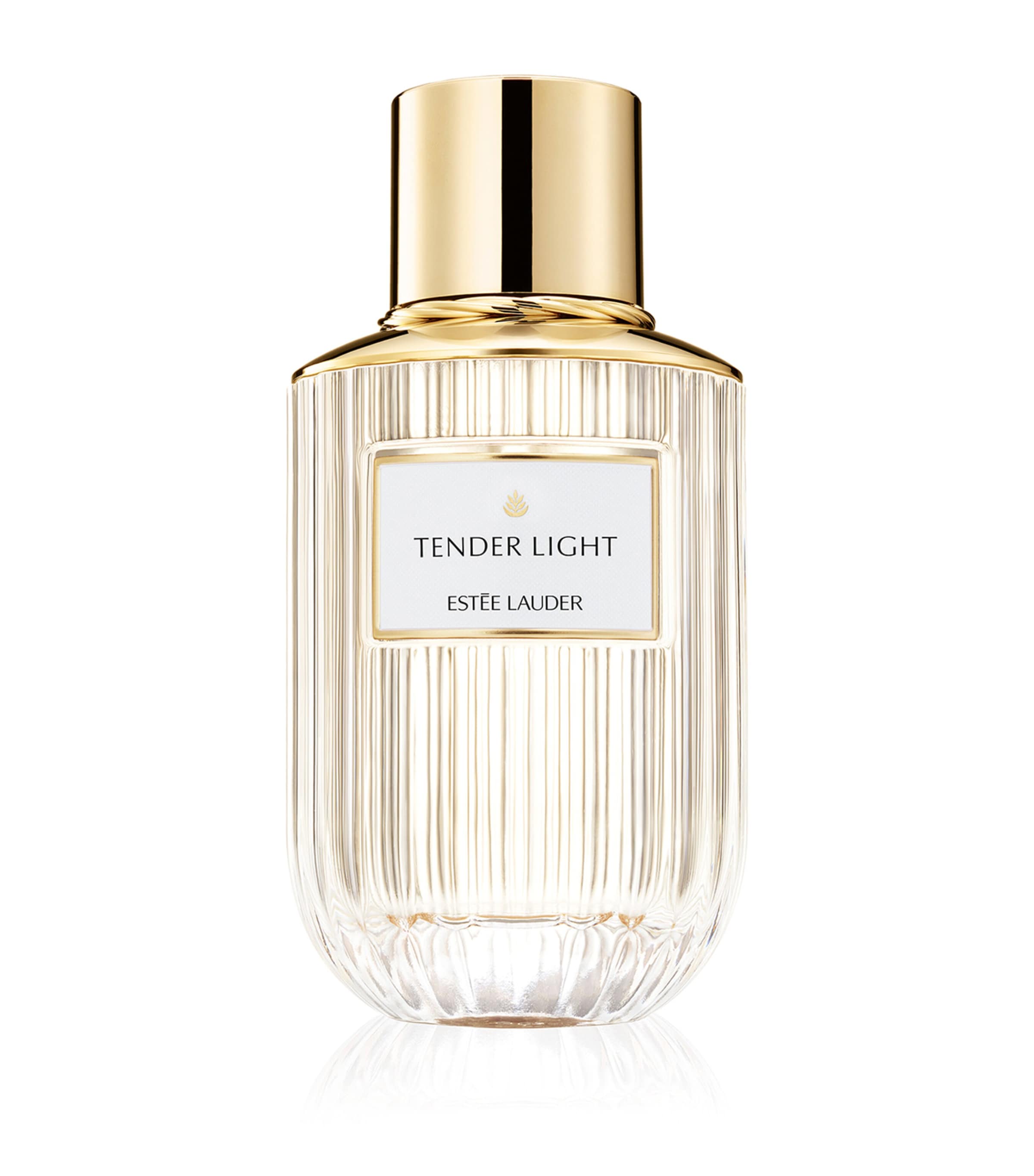 Tender Light Eau de Parfum (100ml) NO COLOUR Image 1