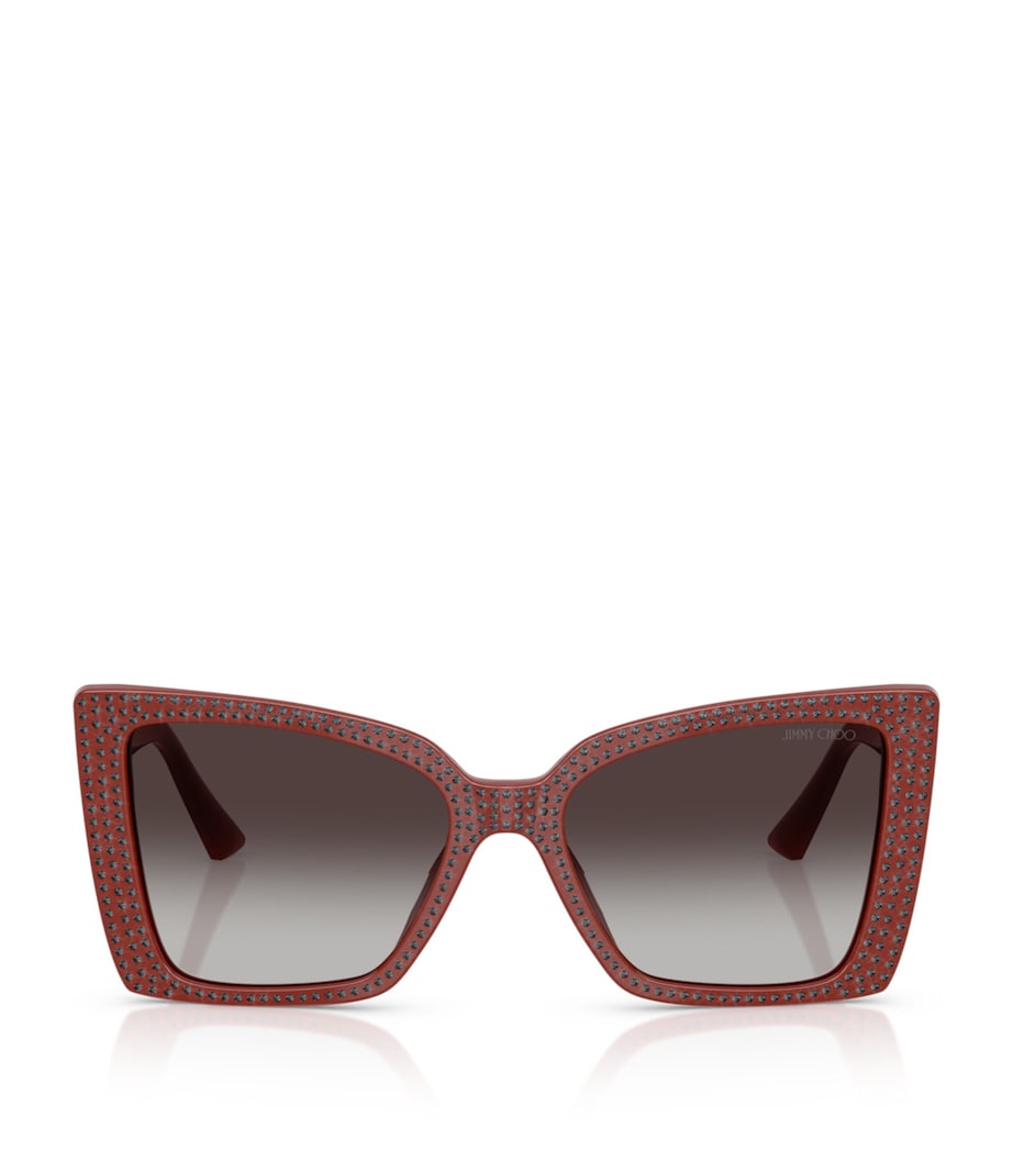 Acetate Butterfly Sunglasses 50138G Image 1