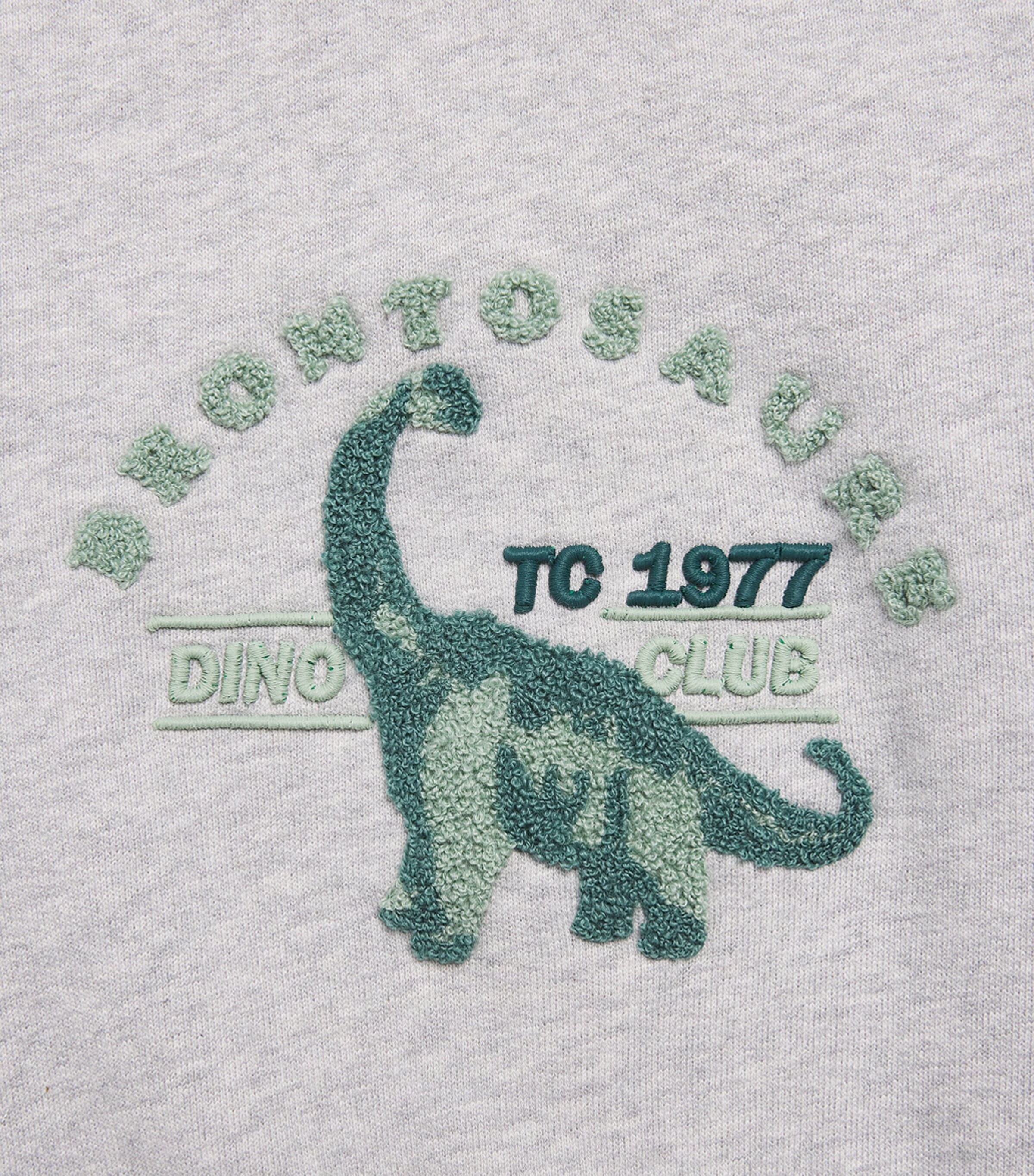 Tartine et Chocolat Dinosaur Sweatshirt (3 Months - 4 Years) Chiné Image 3