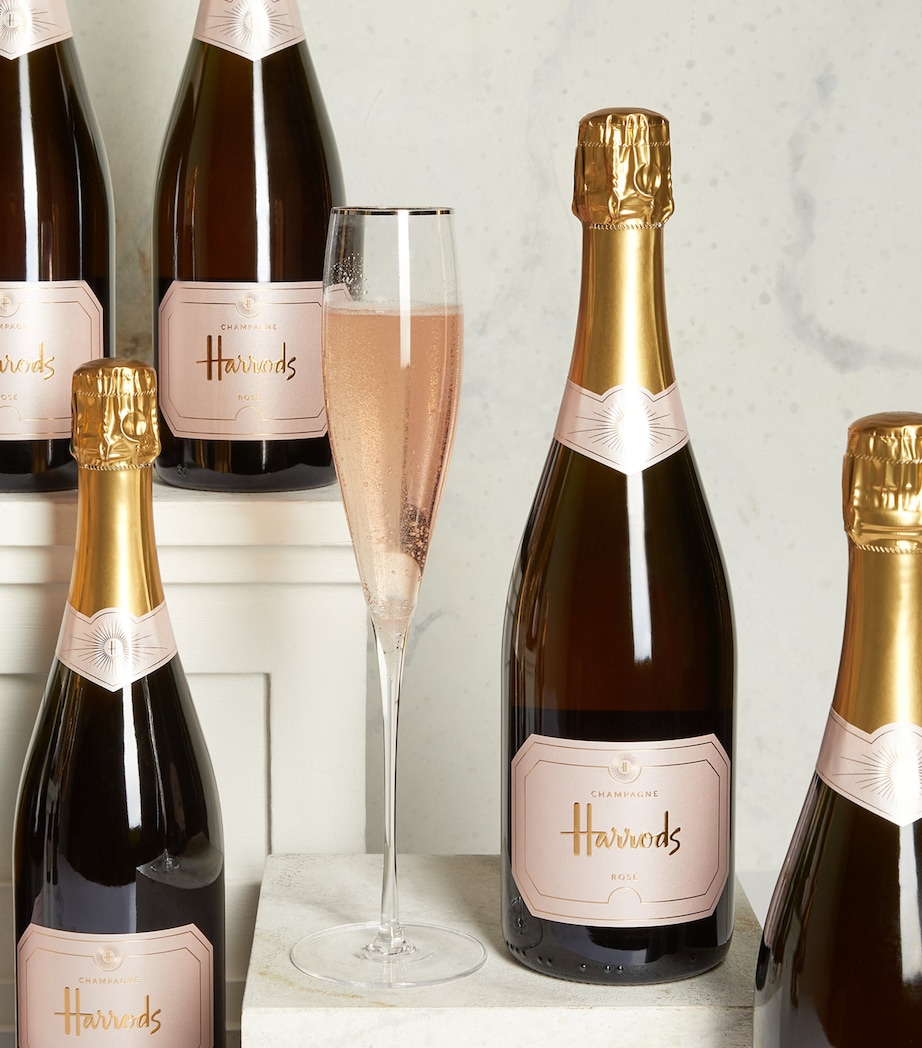 Rosé Champagne Non Vintage Case (12 Bottles) - Champagne, France ROSE Image 4