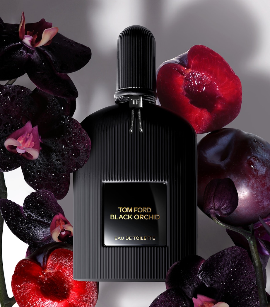 Black Orchid Eau de Toilette (50ml) NO COLOUR Image 2