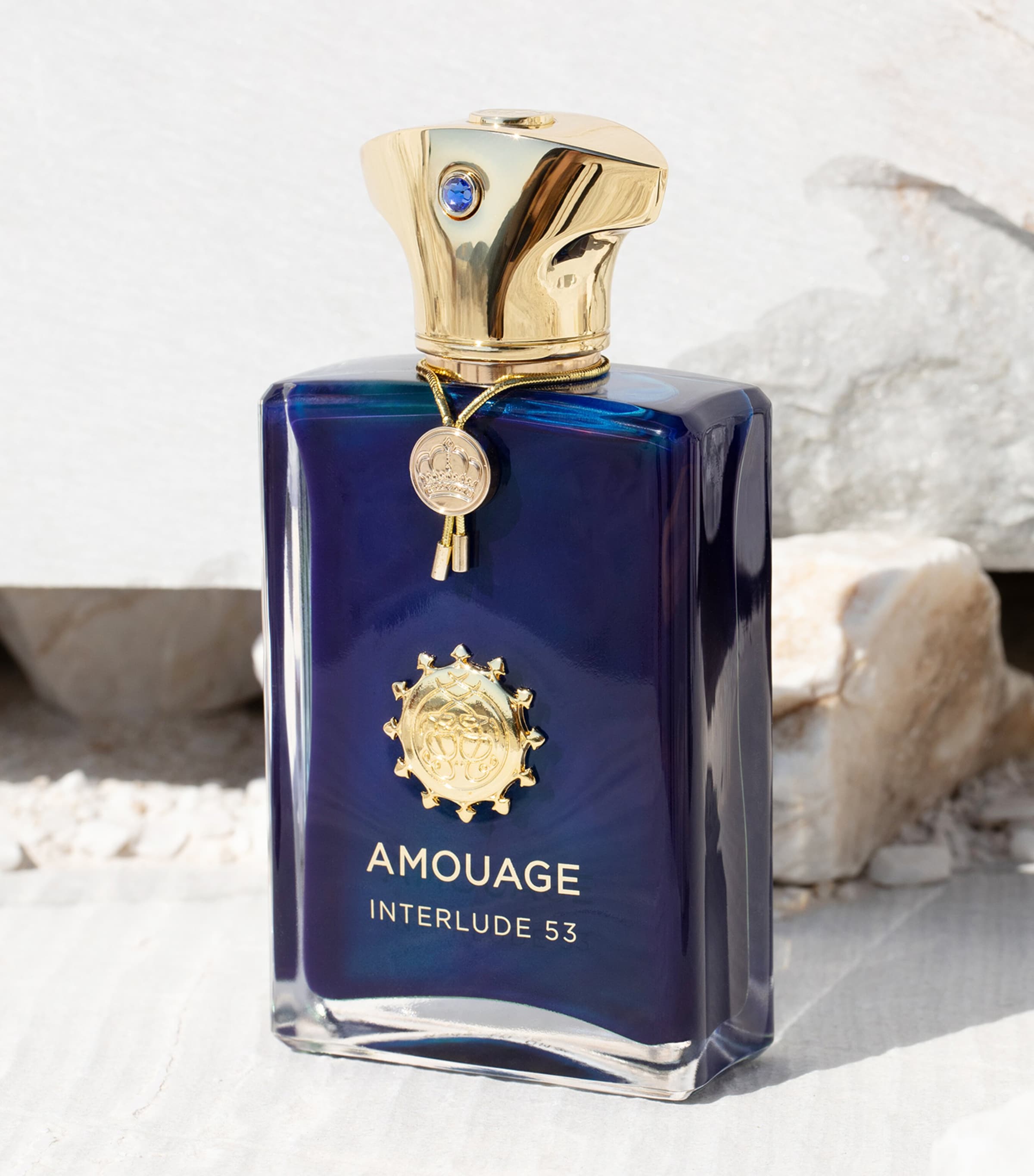 Amouage Interlude 53 Man Exceptional Extrait (100ml) Image 4