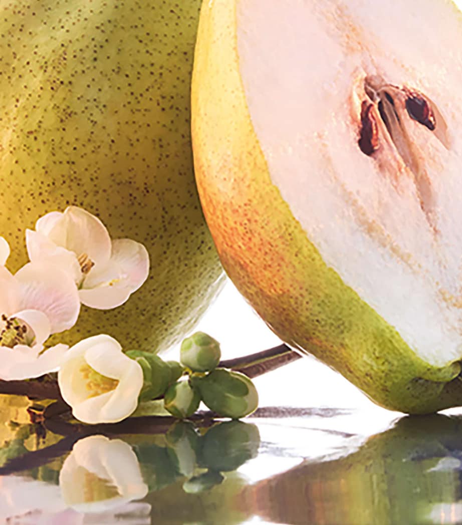 Mon Sparkling Bouquet Eau de Parfum (50ml) NO COLOUR Image 7