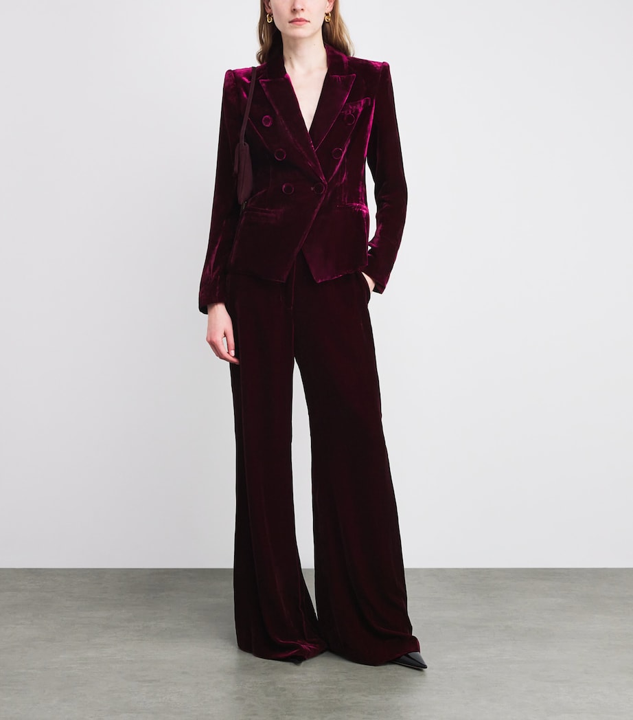 Velvet Marie Double-Breasted Blazer DARK PORT DKPO Image 2