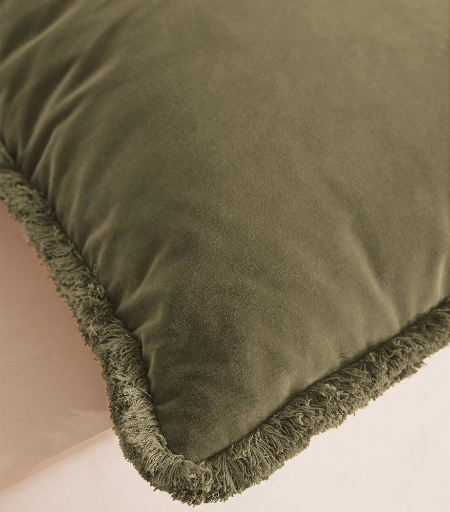 Velvet Margeaux Cushion (50cm x 50cm) LICHEN Image 4