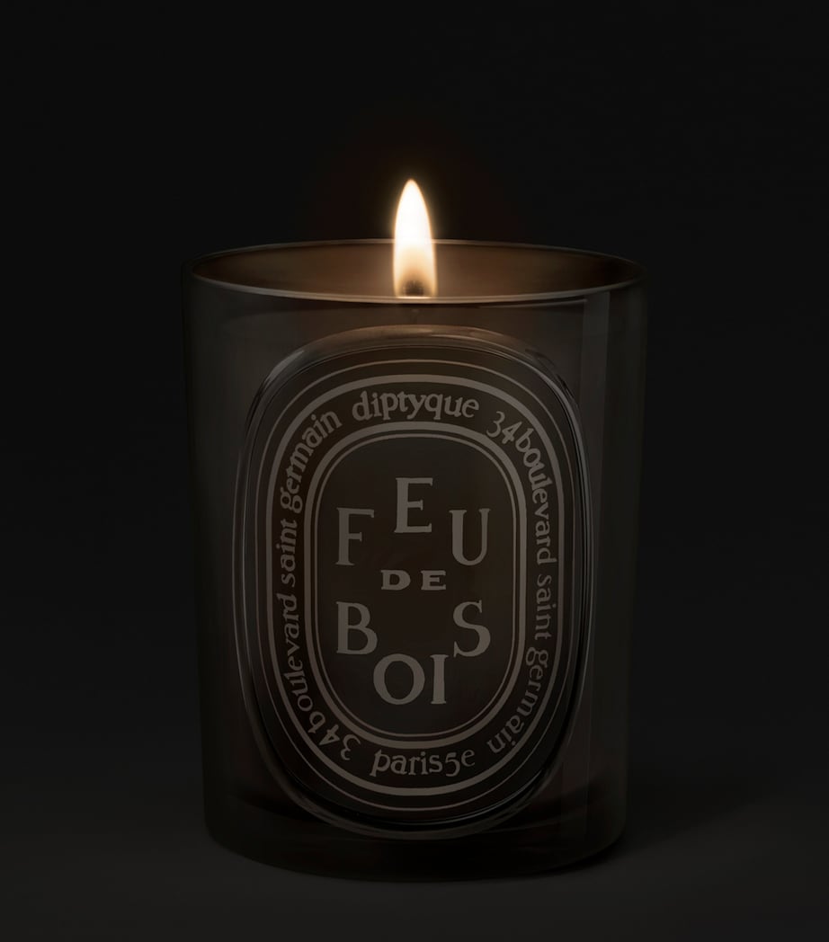 Diptyque Feu de Bois Coloured Candle (300g) Image 2