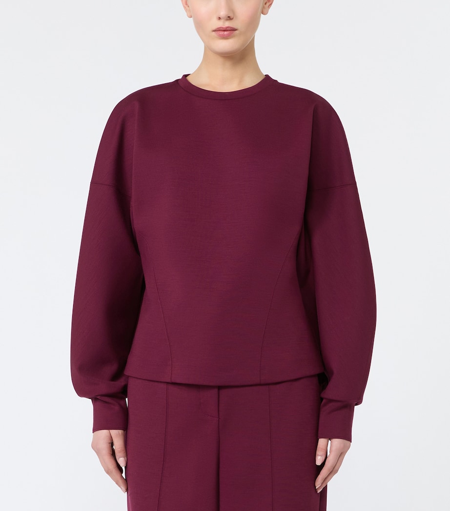 Max Mara Womens Gathered Sweatshirt Wine Coloured Image 2