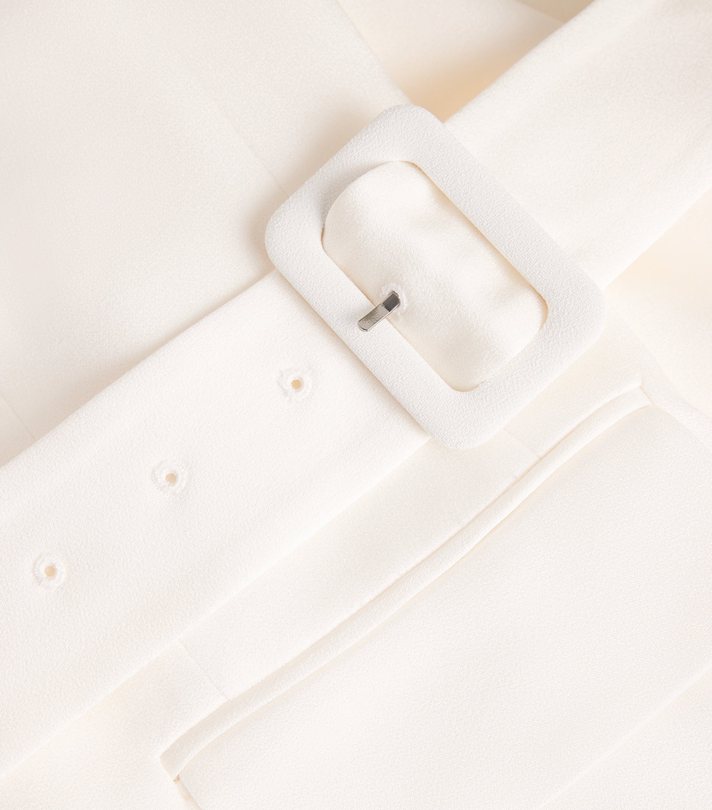 Belted Ryanne Dickey Blazer DOVE Image 5