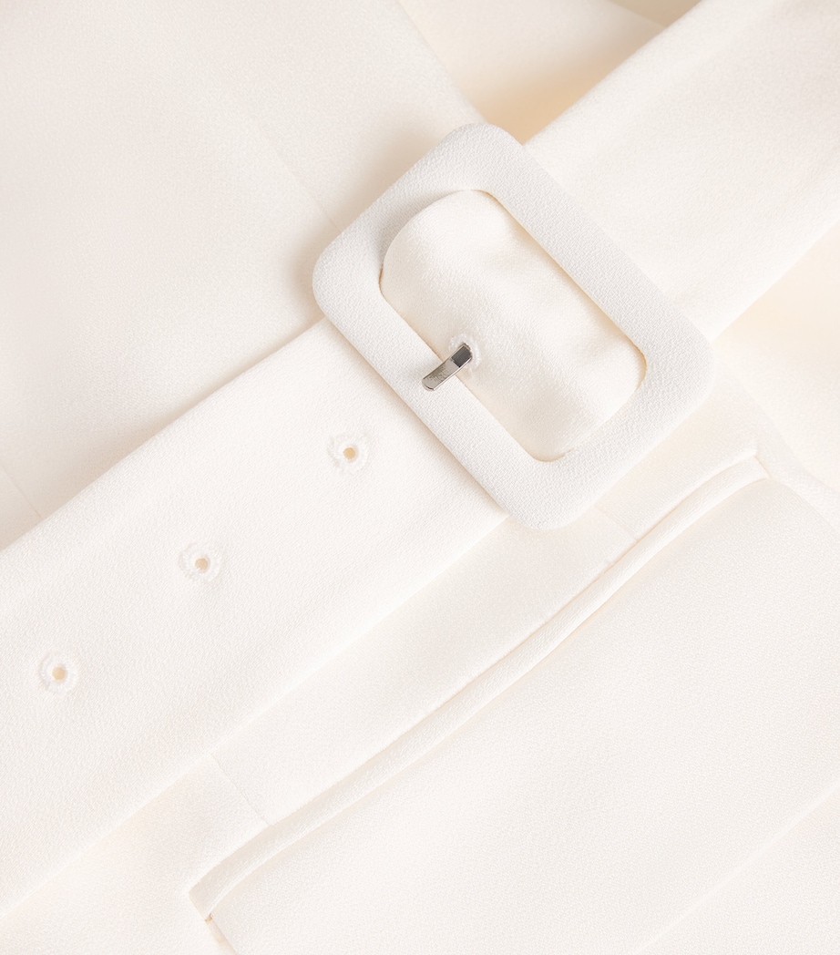 Belted Ryanne Dickey Blazer DOVE Image 5