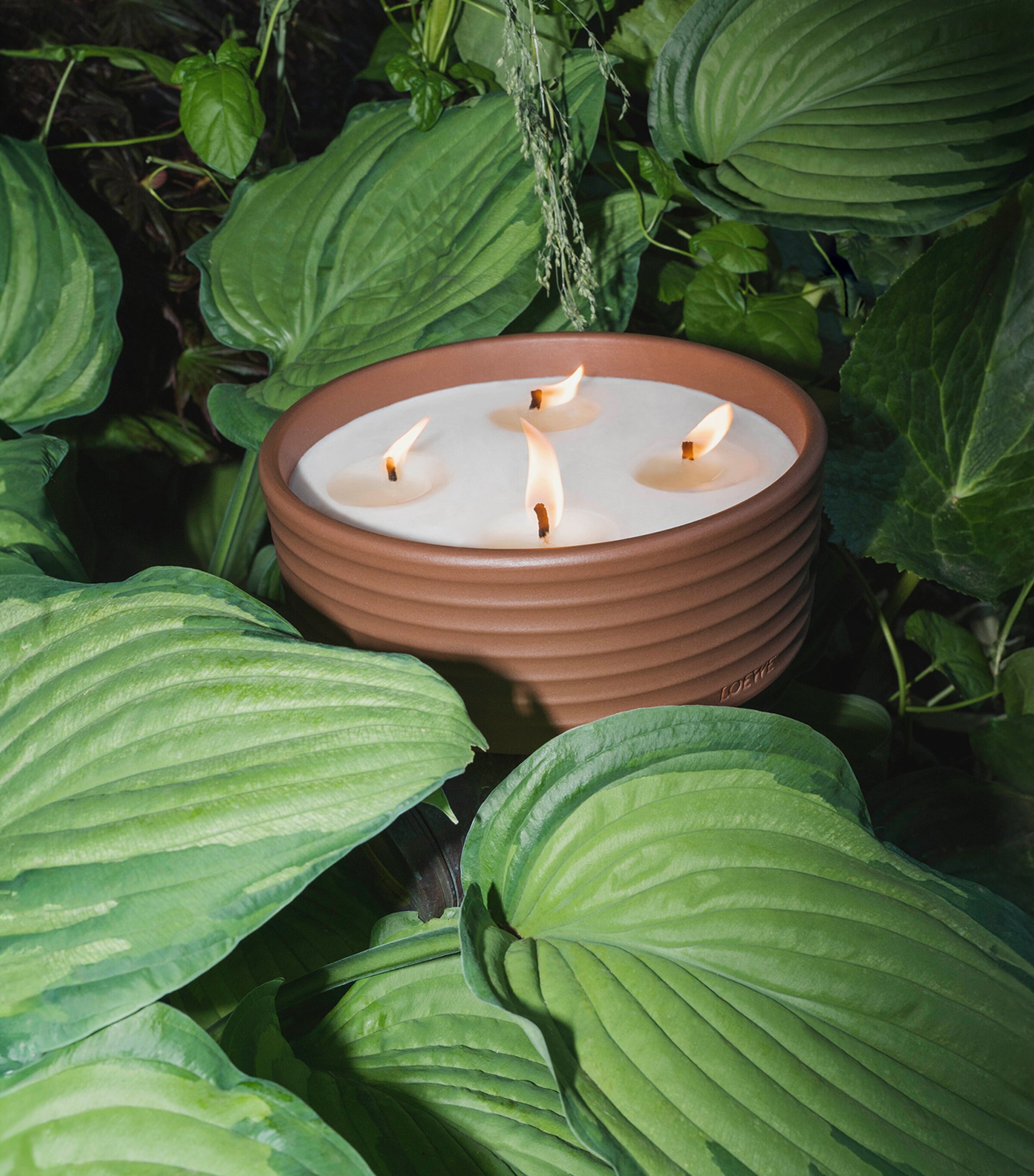 LOEWE Perfumes Thyme Outdoor Candle (750g) | Harrods QA