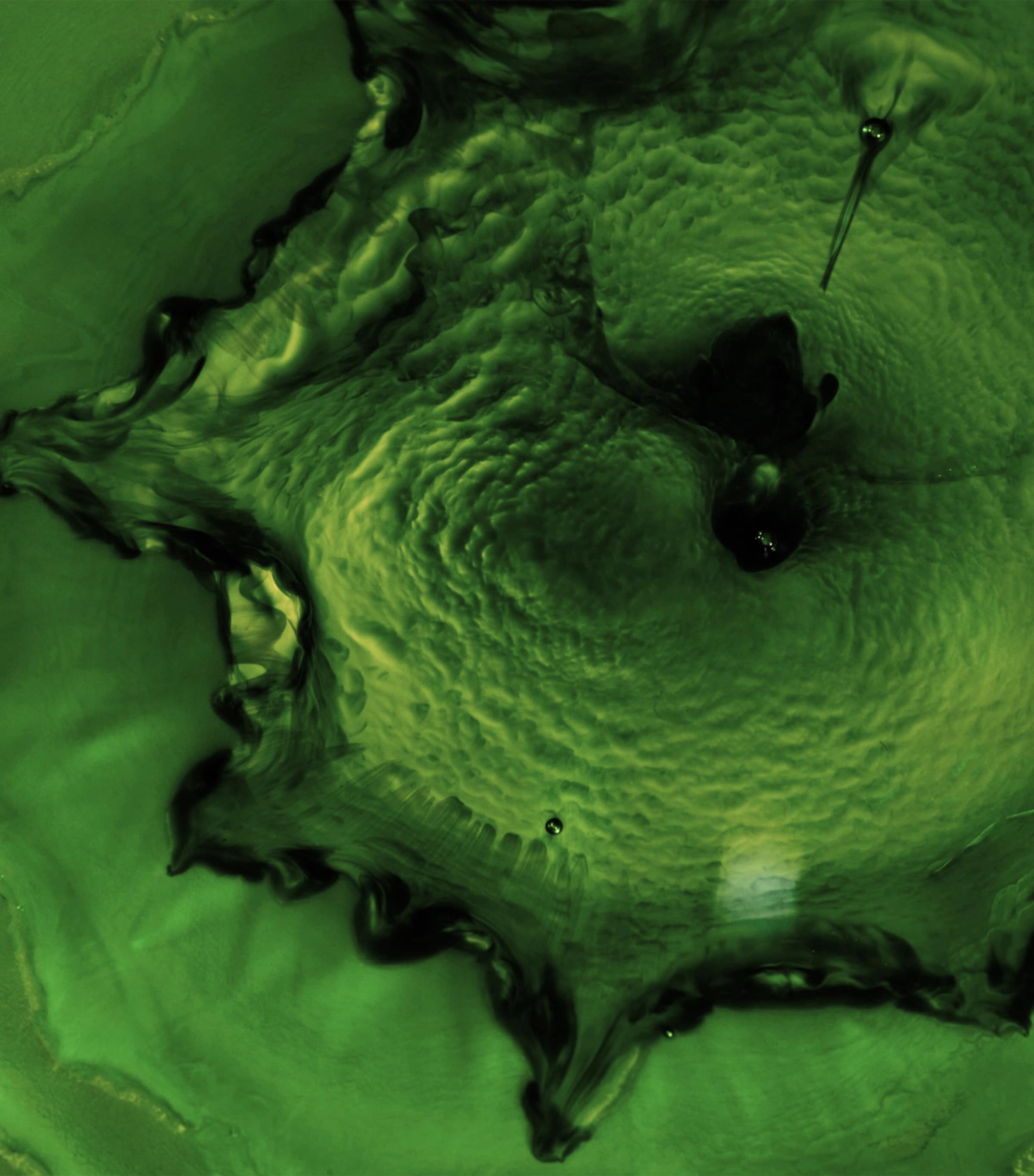 The Treatment Lotion (250ml) NO COLOUR Image 5