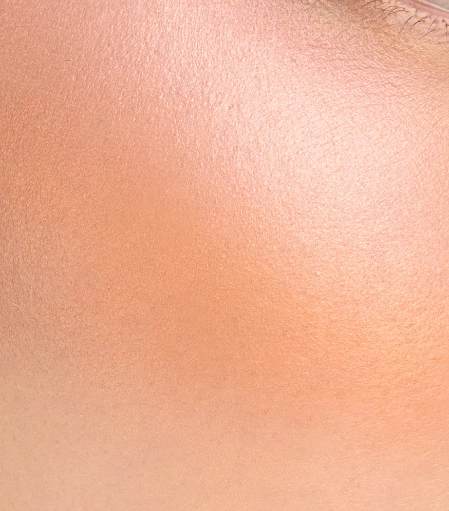 Blurring Colour Blush 110 HISASHIIRO Image 2