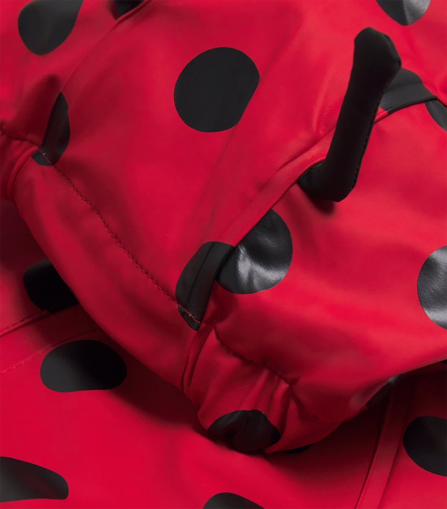 Cinelle Jacket and Trousers Rain Set (12 Months-4 Years) P30045LADY DOT Image 4