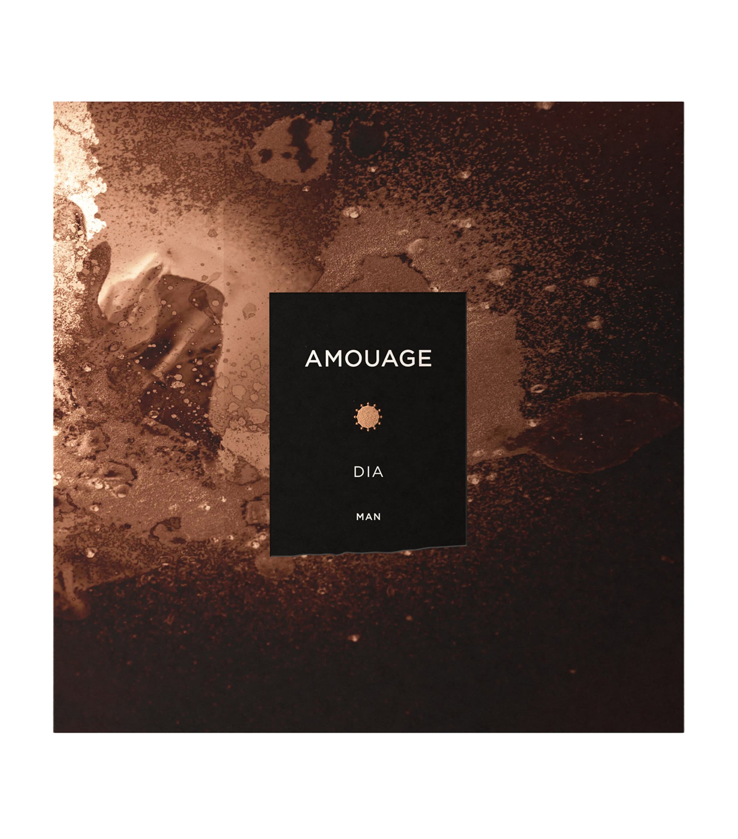 Dia Man Eau de Parfum (100ml) NO COLOUR Image 3