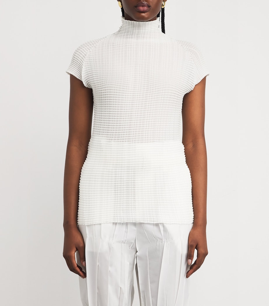 Wooly Pleats Top 1 Image 3