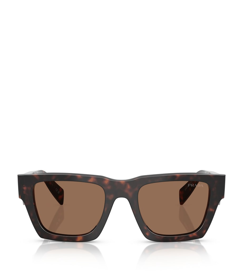 Acetate PRA06S Sunglasses 17N06B Image 1