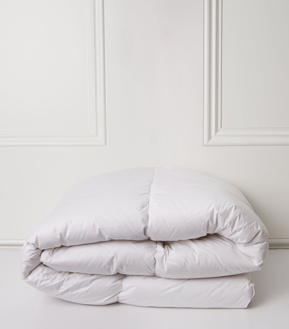 Double Lux Warm Duvet (10 Tog) WHITE Image 3