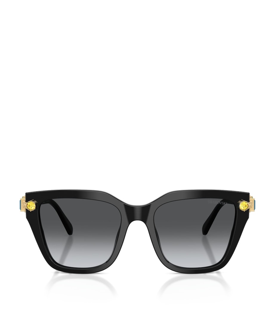 Acetate Oversized SK6041 Sunglasses 1001T3 Image 1
