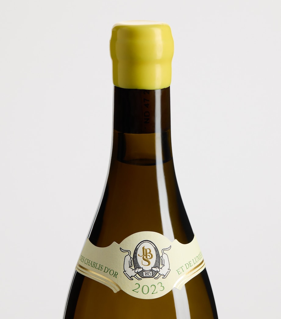 Billaud Simon Billaud Simon Chablis Les Clos Grand Cru 2023 (75cl) - Champagne, France Image 2