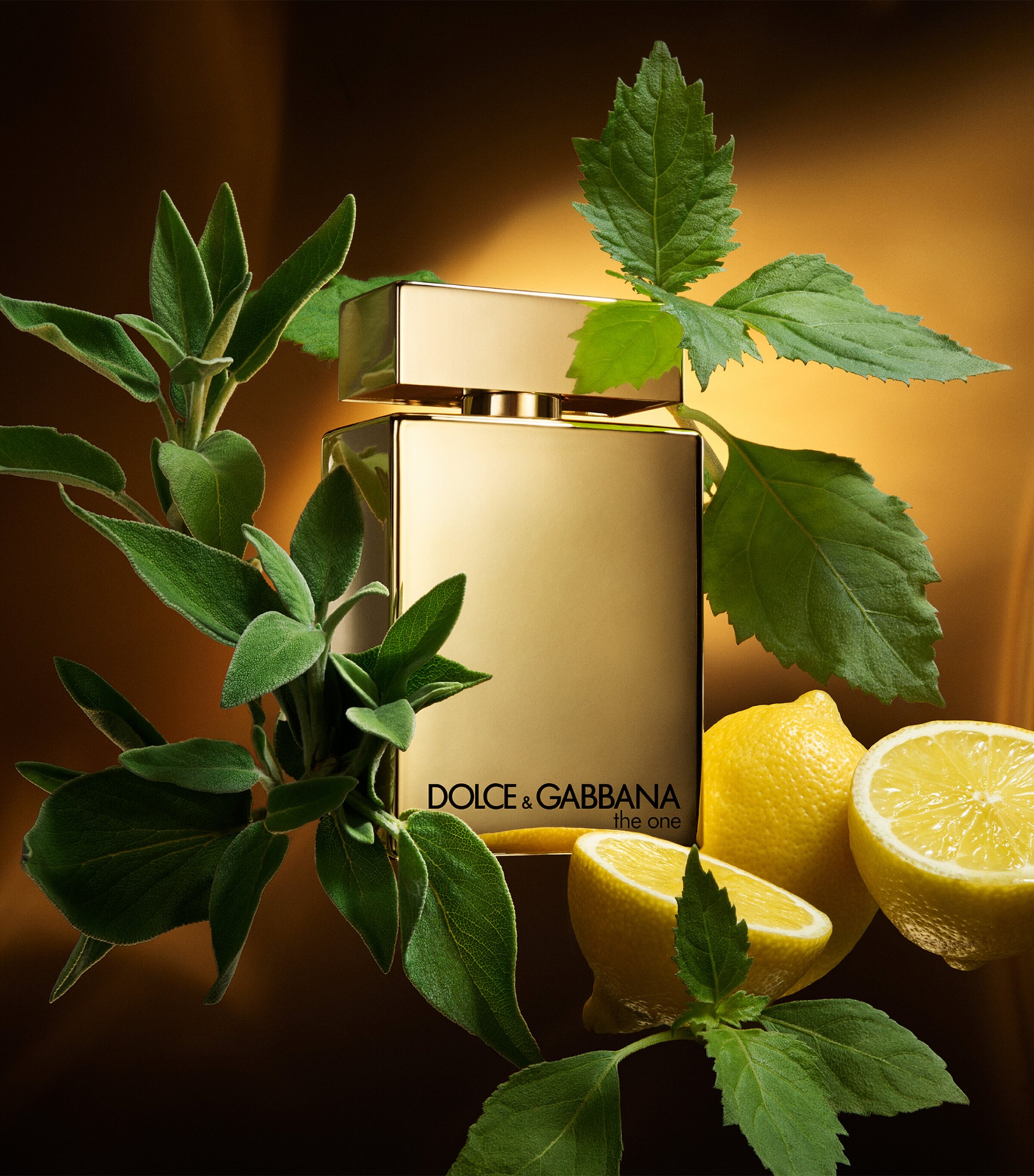 Dolce&Gabbana The One Gold For Men Eau de Parfum Intense (100ml) Image 3