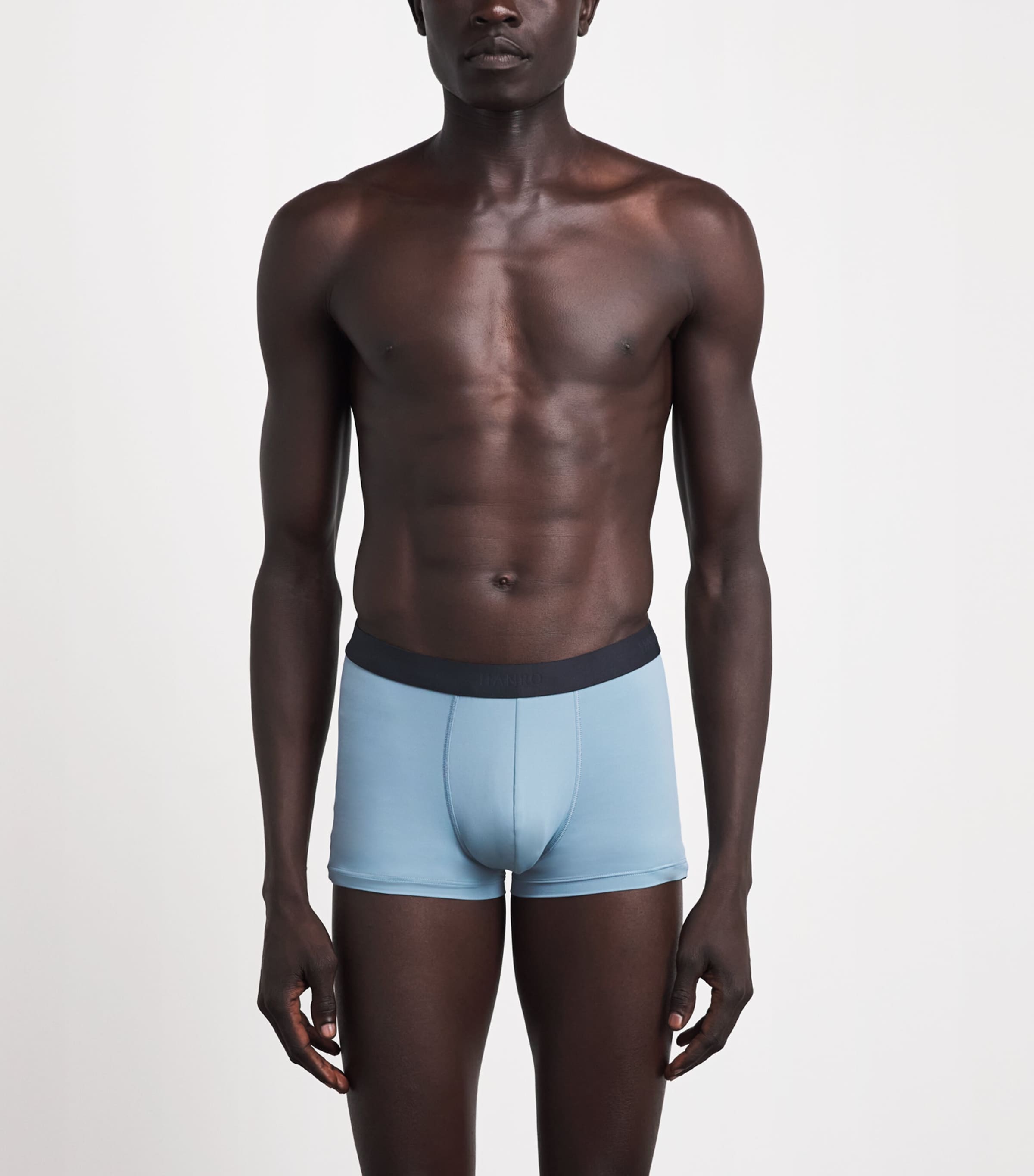 Hanro Mens Micro-Touch Boxer Briefs Blue Whale Image 2