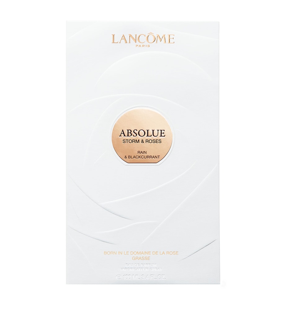 Absolue Storm & Roses Eau de Parfum (100ml) NO COLOUR Image 2