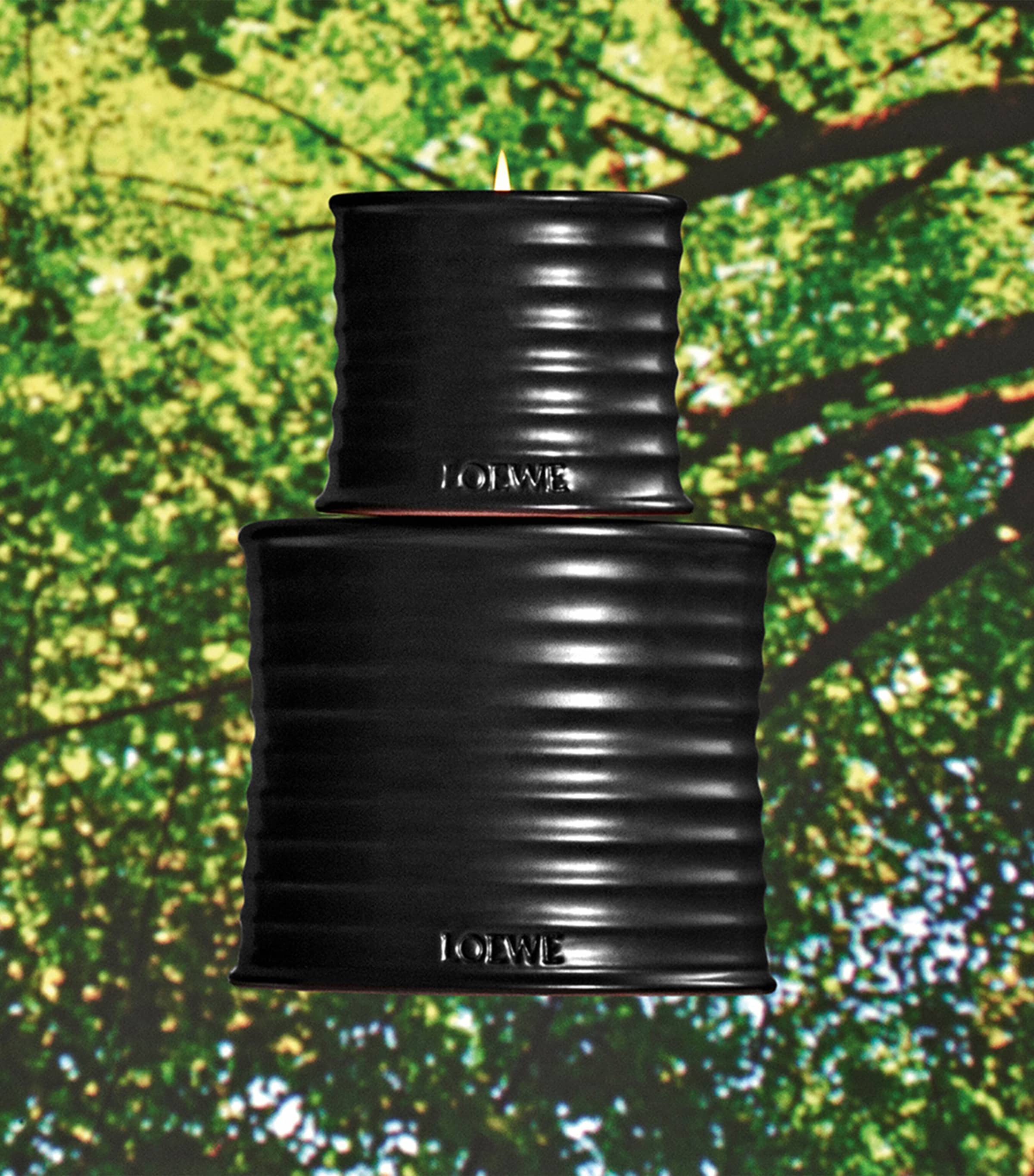 Medium Palo Santo Scented Candle NO COLOUR Image 5